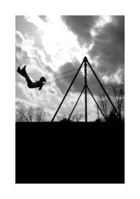 20080505222710-the-swing-.jpg